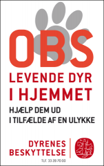 Levende dyr i hjemmet